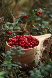 Wooden cup with many tasty ripe lingonberries in forest outdoors