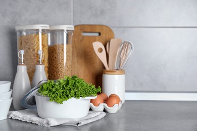 Set of different cooking utensils and products on grey countertop in kitchen. Space for text