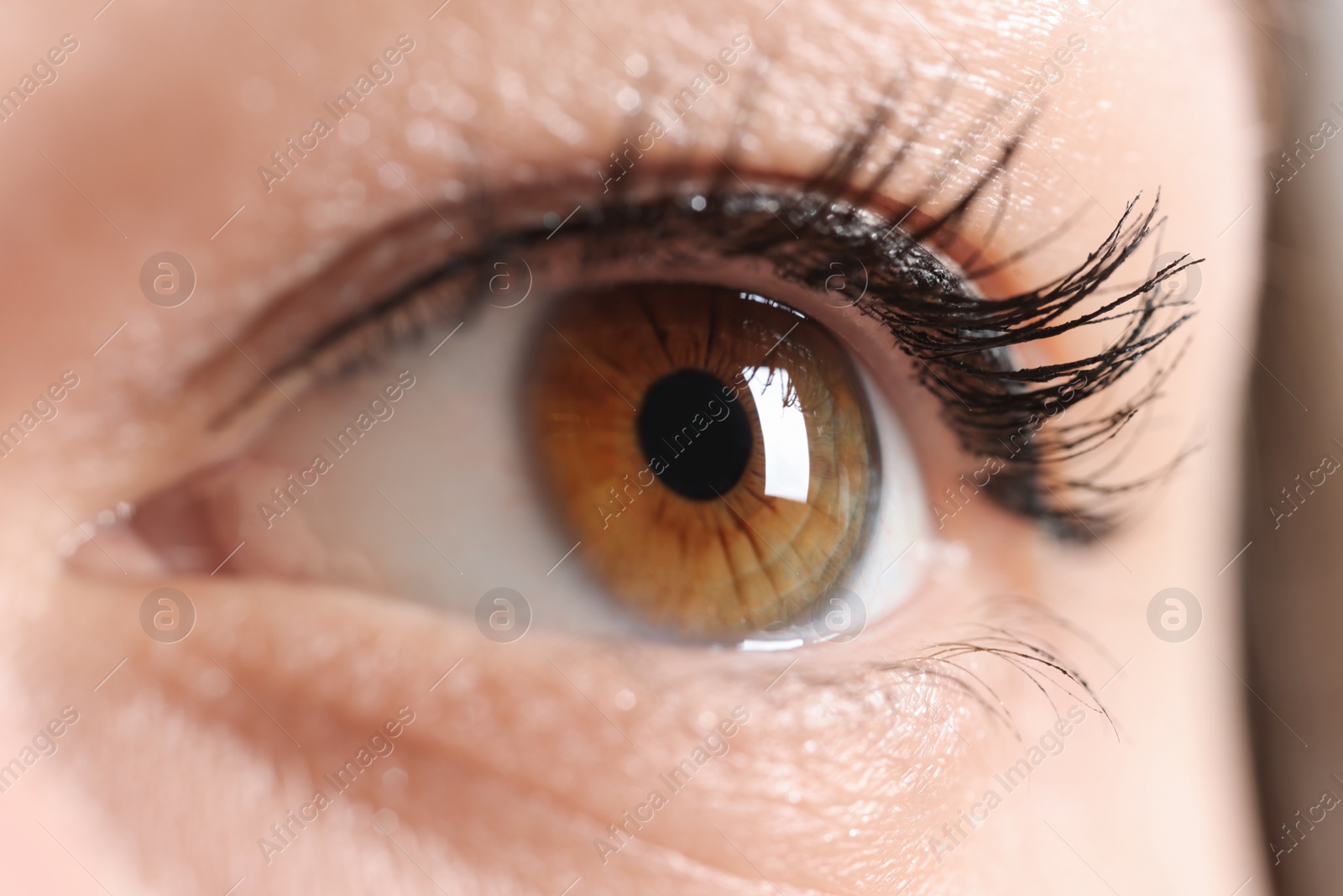 Photo of Macro photo of woman with beautiful eyes