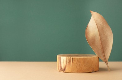 Photo of Presentation for product. Wooden podium and dry leaf on color background. Space for text