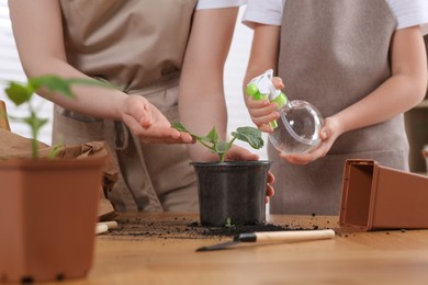 Photo of Mother and daughter spraying seedling in pot together at wooden table indoors, closeup