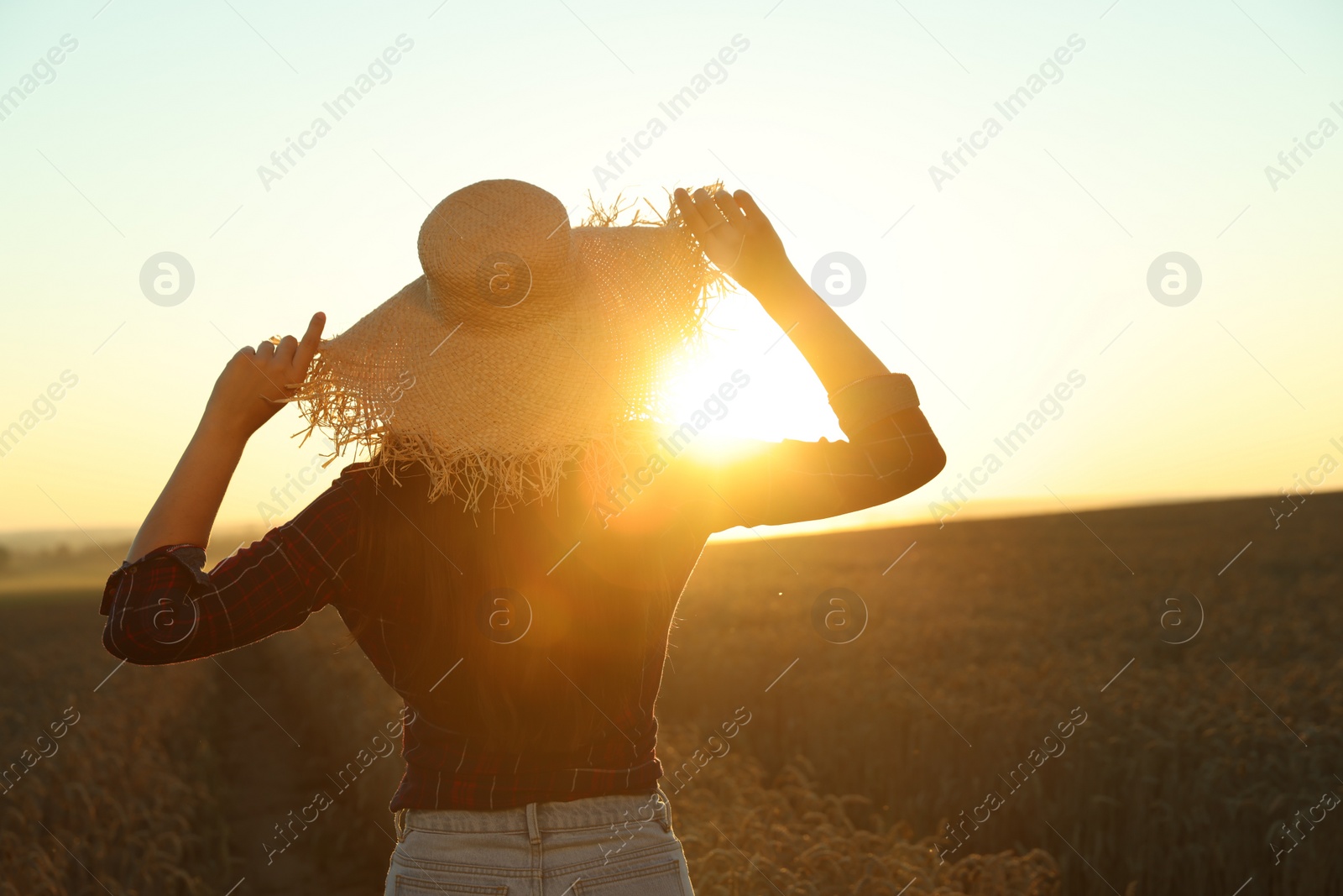 Photo of Woman wearing straw hat in ripe wheat field on sunny day, back view