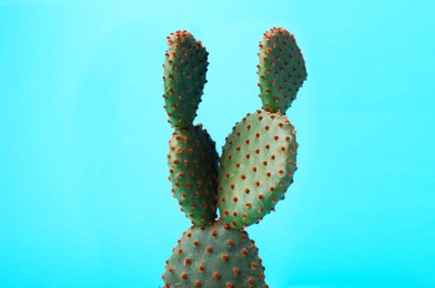 Photo of Beautiful green Opuntia cactus on light blue background