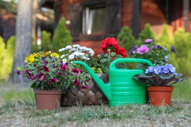 Beautiful blooming flowers and watering can on green grass in garden