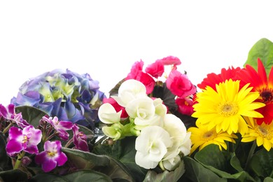 Photo of Different beautiful colorful flowers on white background