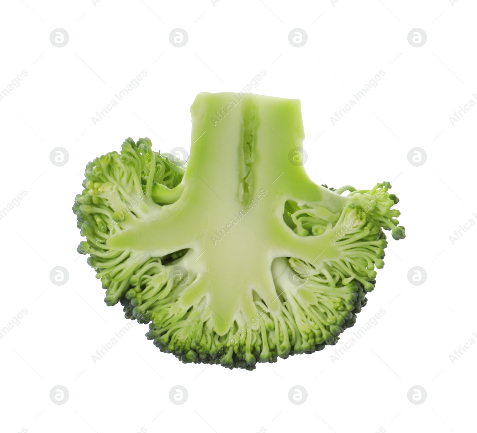Photo of Slice of fresh green broccoli isolated on white