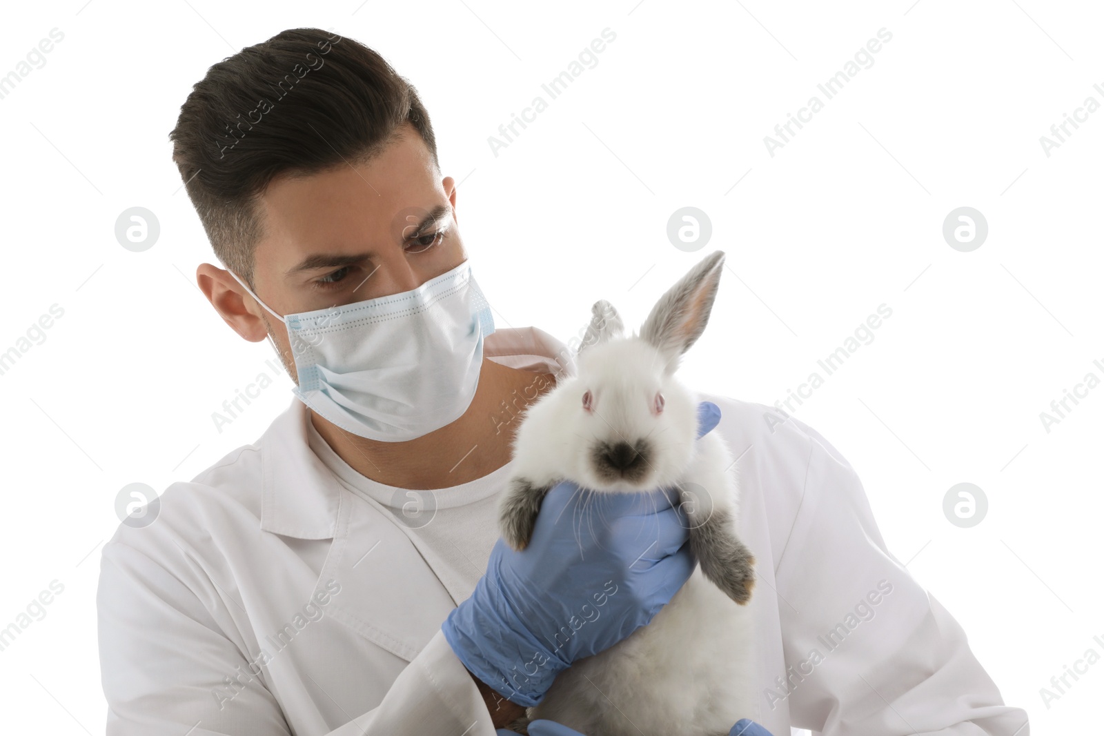 Photo of Scientist with rabbit on white background. Animal testing