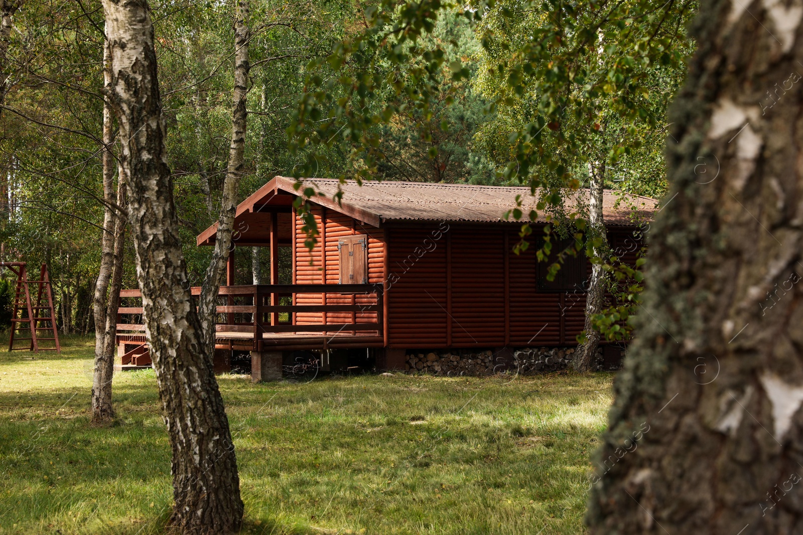 Photo of Beautiful wooden summer house among trees outdoors