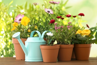 Photo of Potted blooming flowers and watering can on wooden table. Home gardening