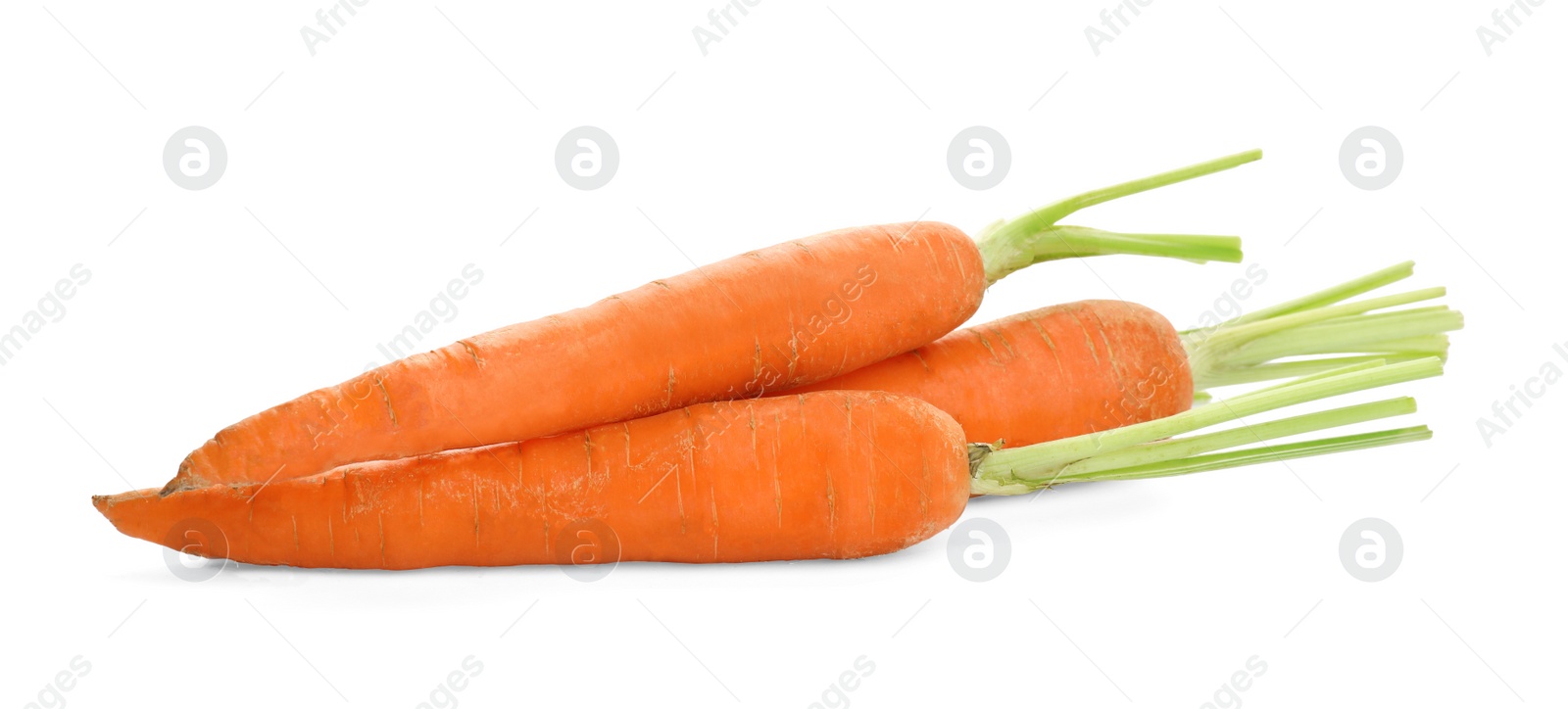 Photo of Fresh ripe carrots on white background. Wholesome vegetable