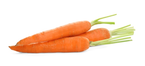 Fresh ripe carrots on white background. Wholesome vegetable