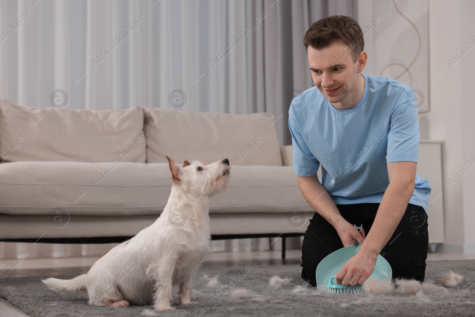 Photo of Smiling man with brush and pan removing pet hair from carpet at home