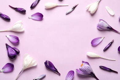 Photo of Frame made of spring crocus flowers on color background, flat lay with space for text