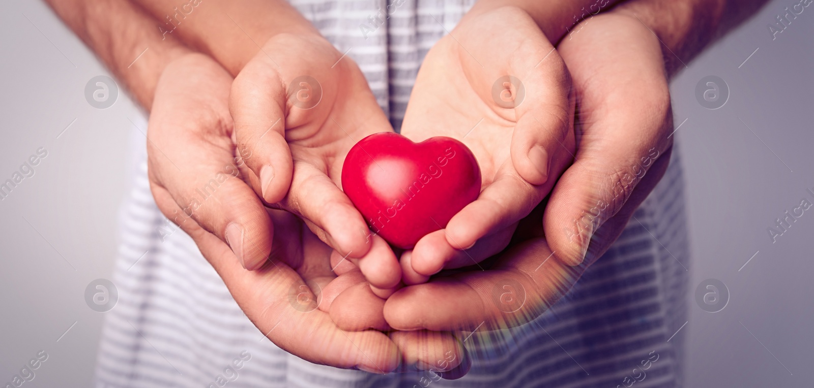 Image of Family holding small red heart in hands together, closeup. Banner design 