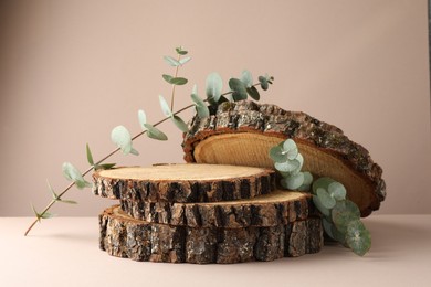 Presentation for product. Wooden stumps and eucalyptus branches on beige background