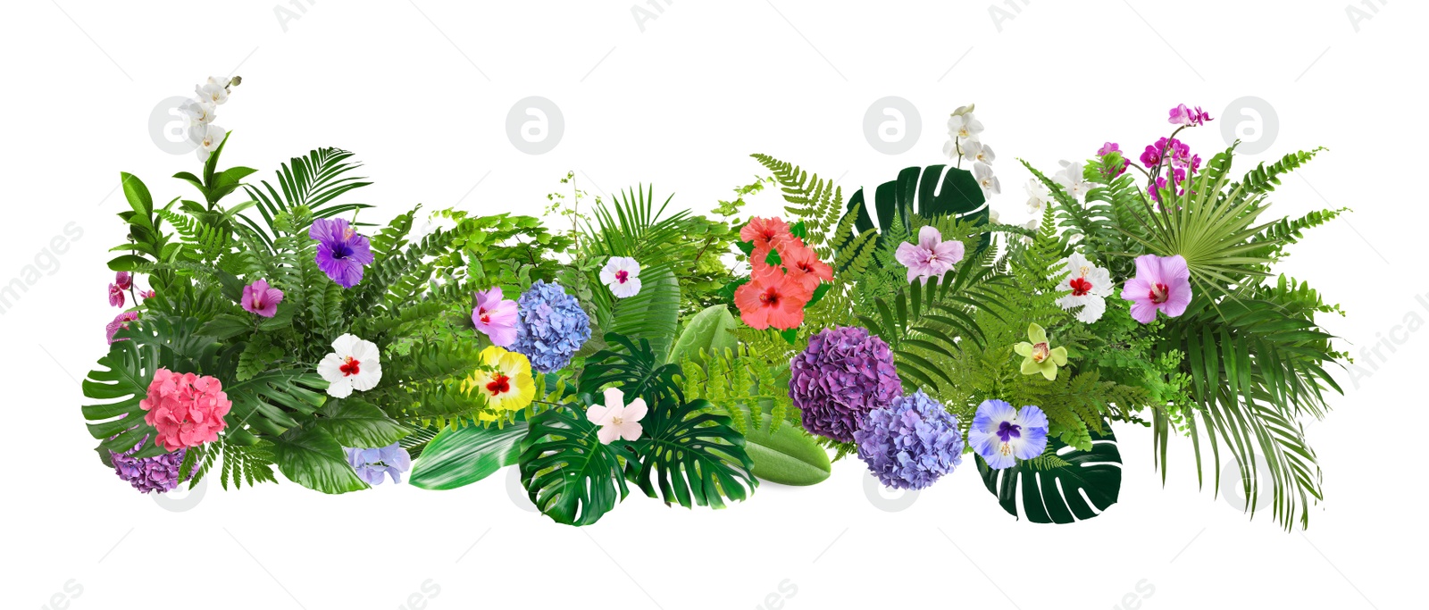 Image of Beautiful composition with tropical leaves and flowers on white background. Banner design