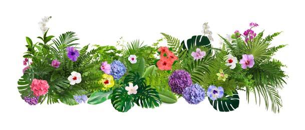 Image of Beautiful composition with tropical leaves and flowers on white background. Banner design