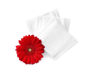 Packed menstrual pads and flower on white background, top view. Gynecological care