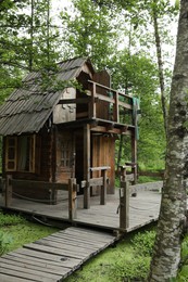 Photo of Old wooden hut in beautiful tranquil forest