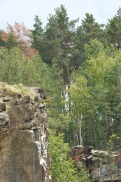 Picturesque view of forest and rocky mountain. Camping season