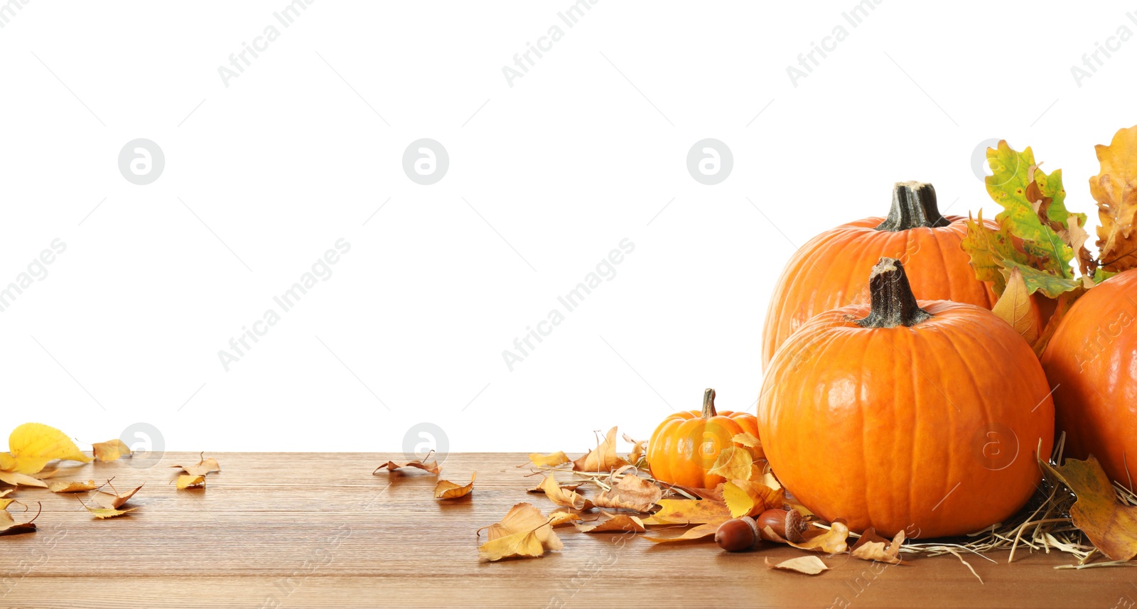 Photo of Composition with ripe pumpkins and autumn leaves on wooden table against white background. Happy Thanksgiving day