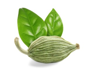 Image of Dry cardamom pod and green leaves on white background