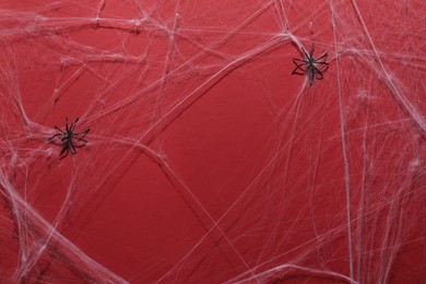 Cobweb and spiders on red background, top view