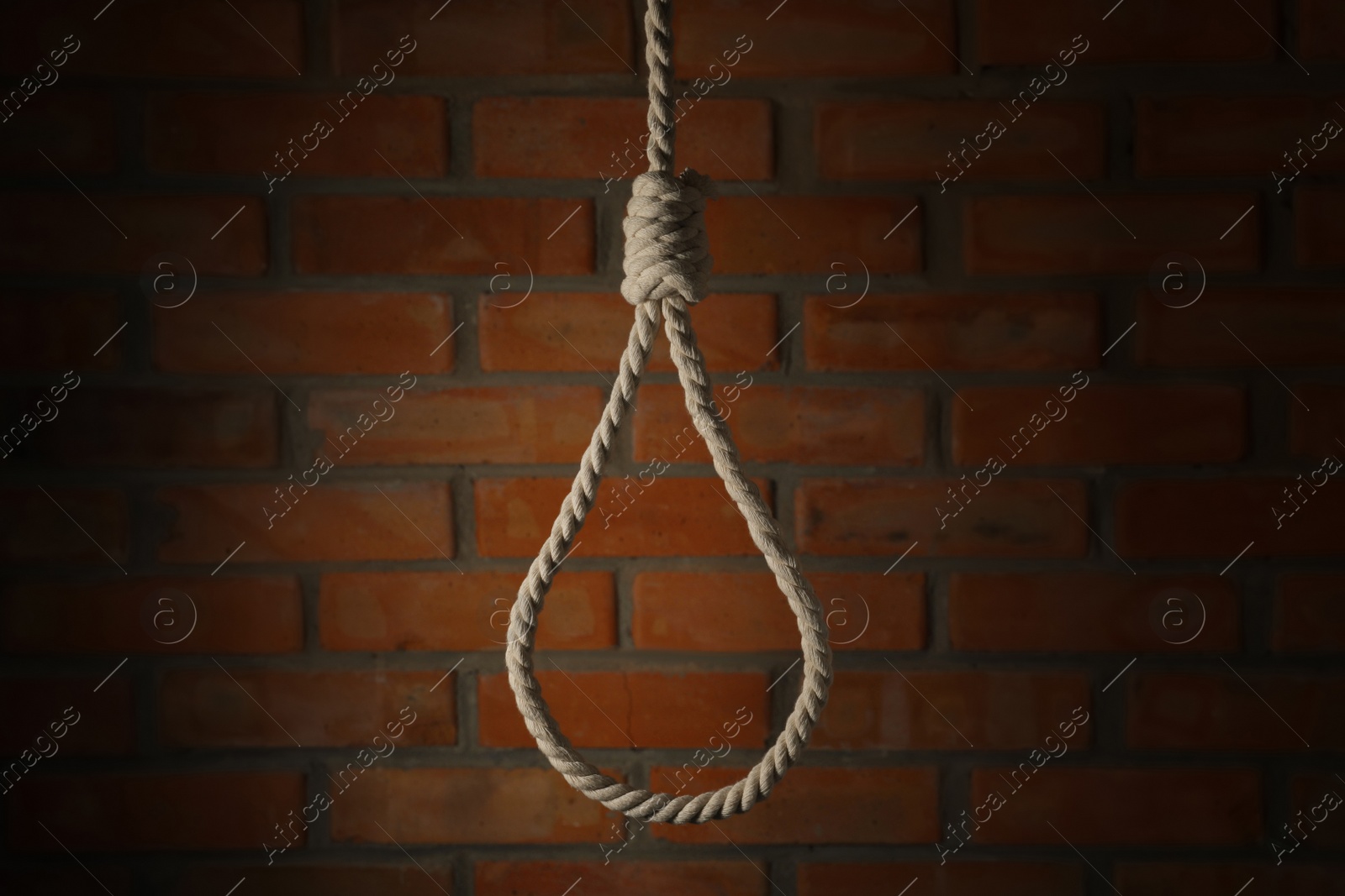 Photo of Rope noose with knot hanging near brick wall