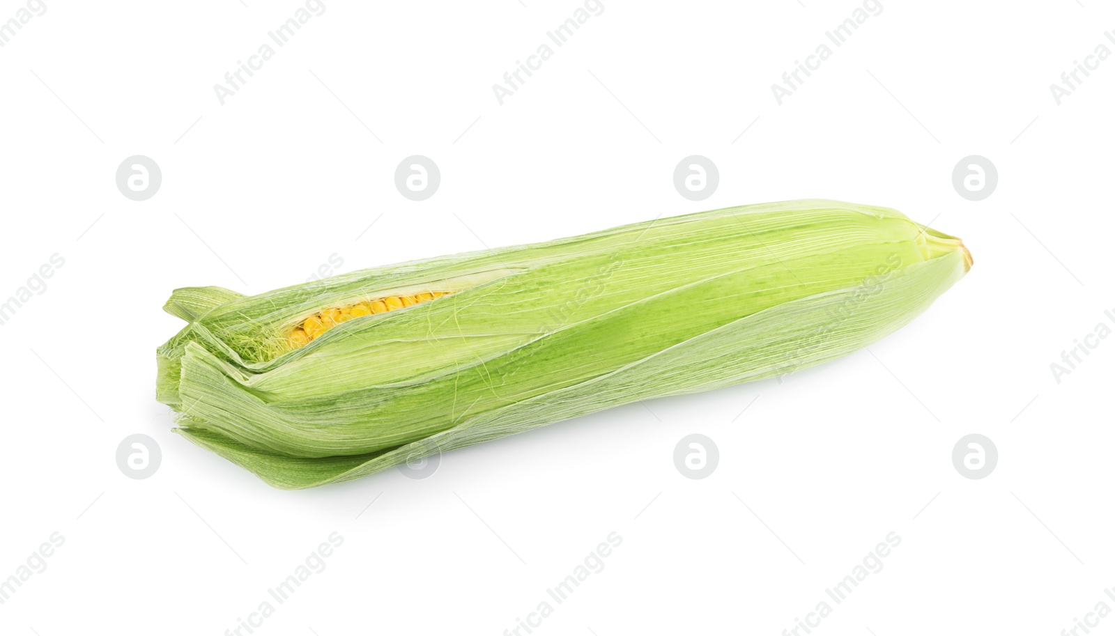 Photo of Ripe raw corn cob with husk isolated on white