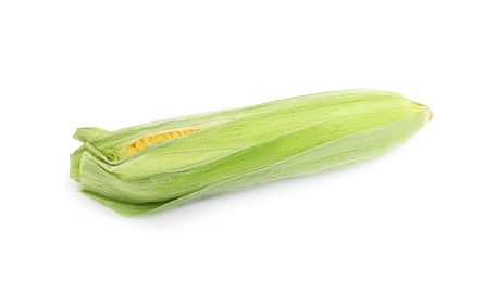 Photo of Ripe raw corn cob with husk isolated on white