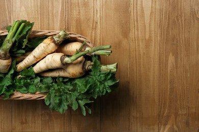 Tasty fresh ripe parsnips in wicker basket on wooden table, top view. Space for text