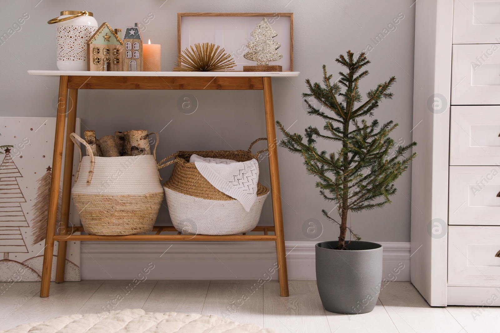 Photo of Beautiful room with potted fir tree on floor. Interior design
