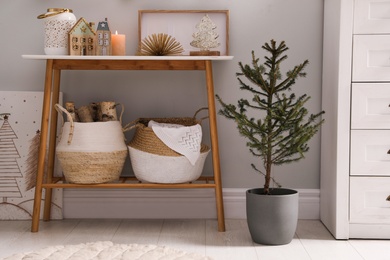 Beautiful room with potted fir tree on floor. Interior design