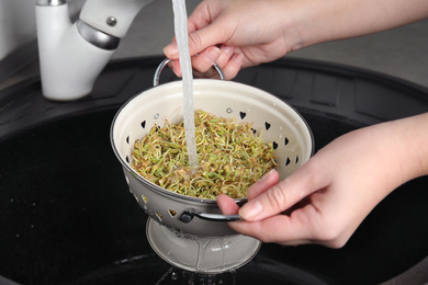 Photo of Woman washing sprouted green buckwheat over sink, closeup