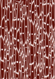 Illustration of Closeup view of blood under microscope. Illustration