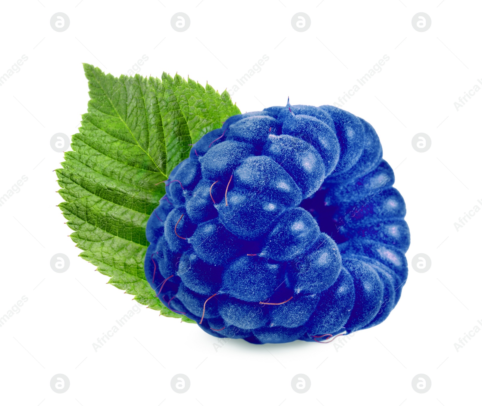 Image of Fresh blue raspberry and green leaf isolated on white