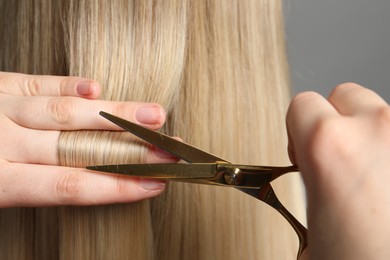 Hairdresser cutting client's hair with scissors on light grey background, closeup