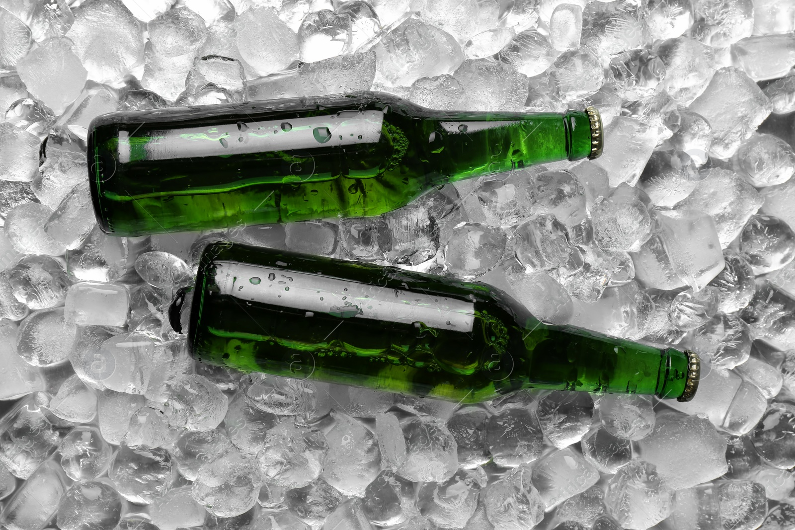 Photo of Bottles of beer on ice cubes, flat lay