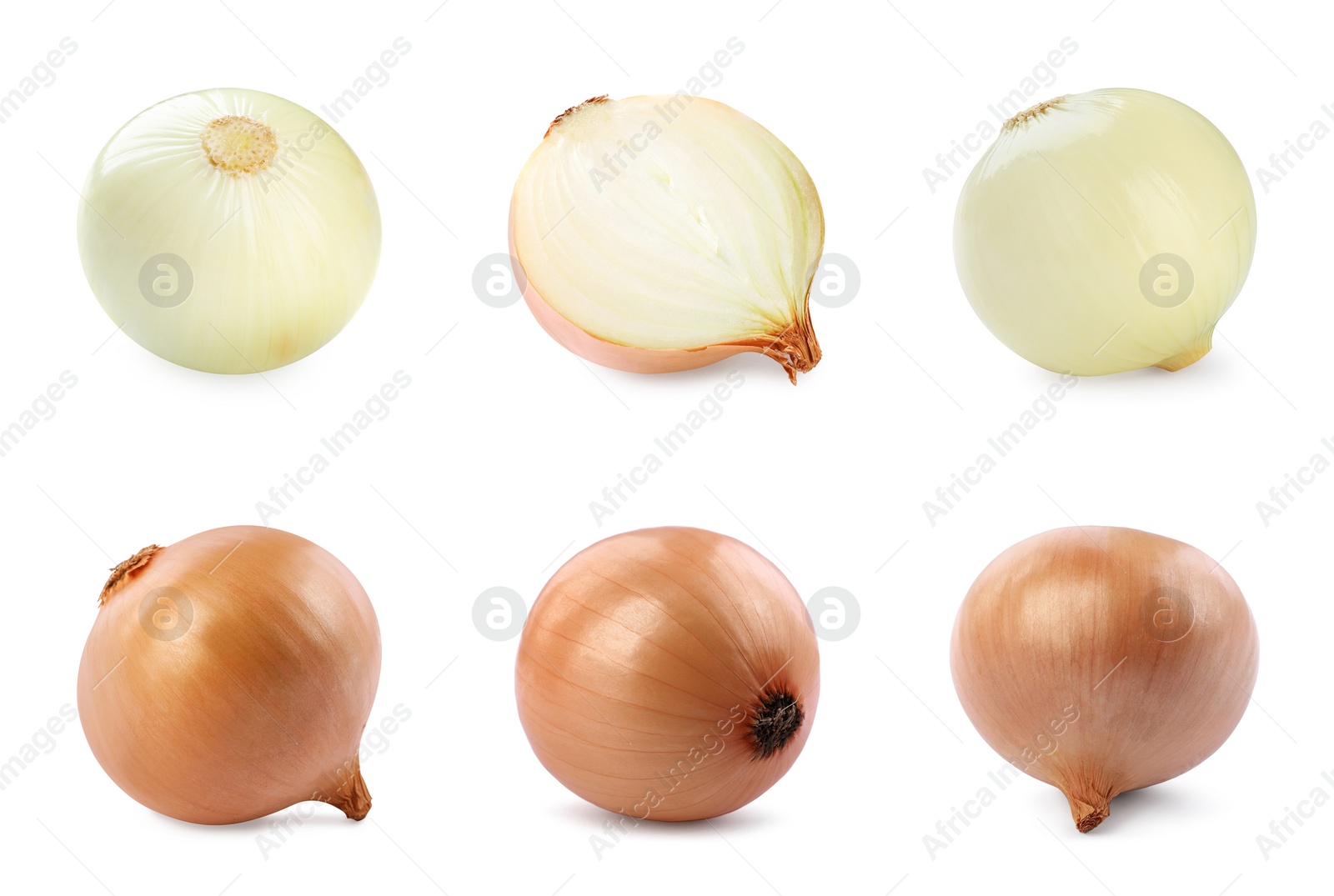 Image of Collage with fresh onion bulbs on white background