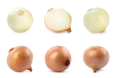 Image of Collage with fresh onion bulbs on white background