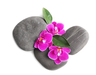 Photo of Heap of spa stones and orchid flowers on white background, top view