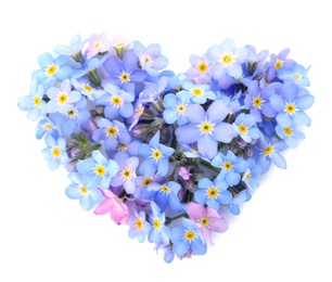 Photo of Heart made of amazing spring forget-me-not flowers on white background, top view