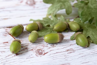 Photo of Green acorns and oak leaves on white wooden table