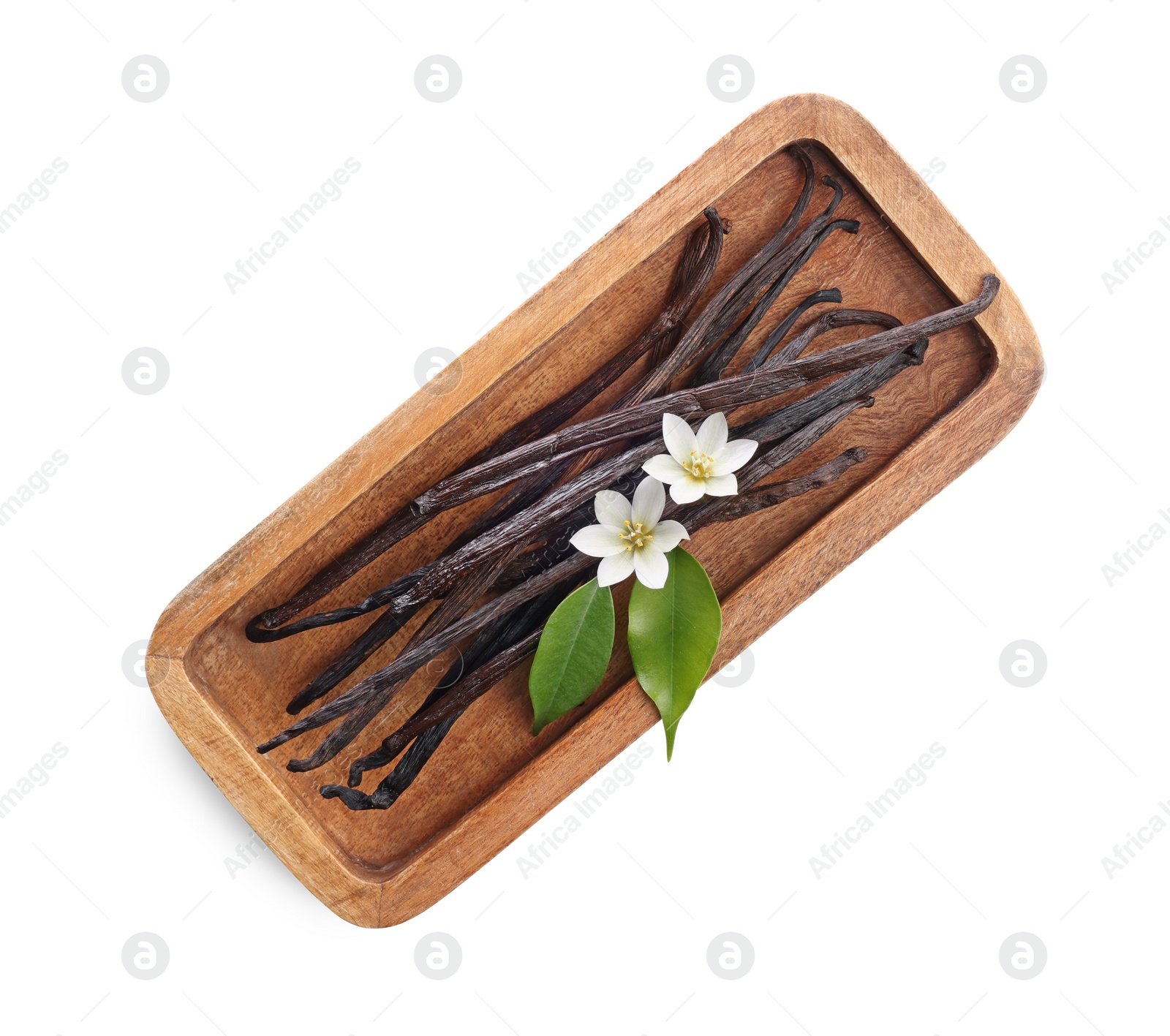 Photo of Vanilla pods, flowers and leaves isolated on white, top view