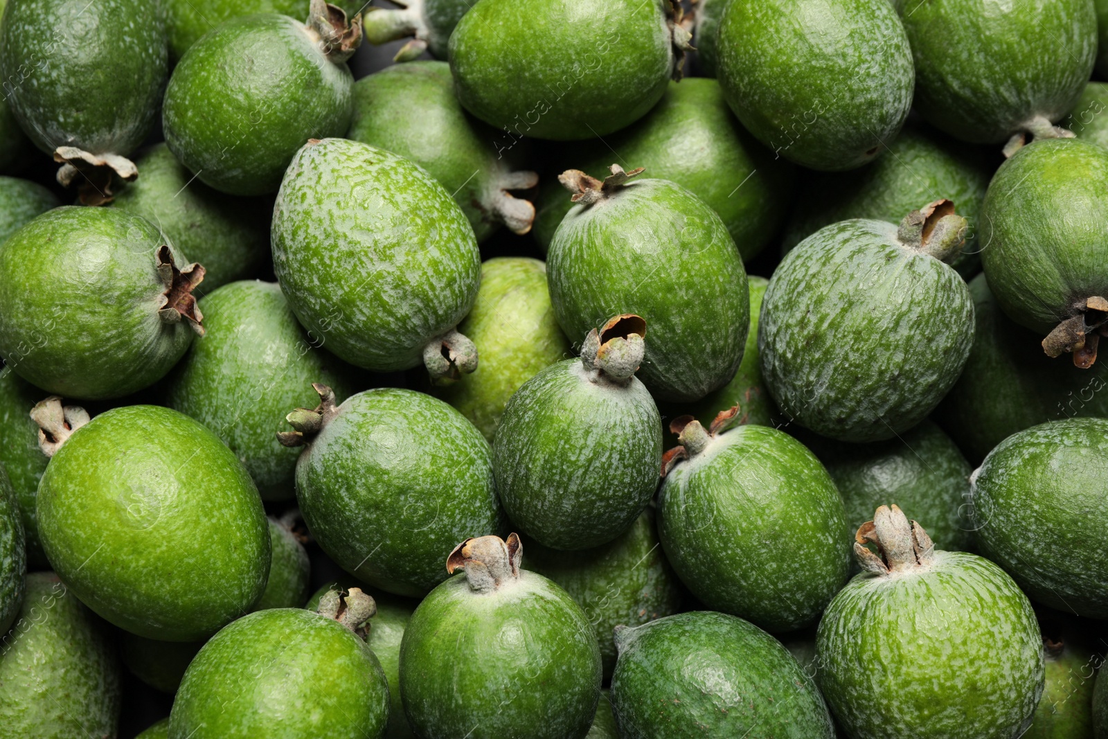 Photo of Fresh green feijoa fruits as background, closeup