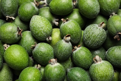 Fresh green feijoa fruits as background, closeup