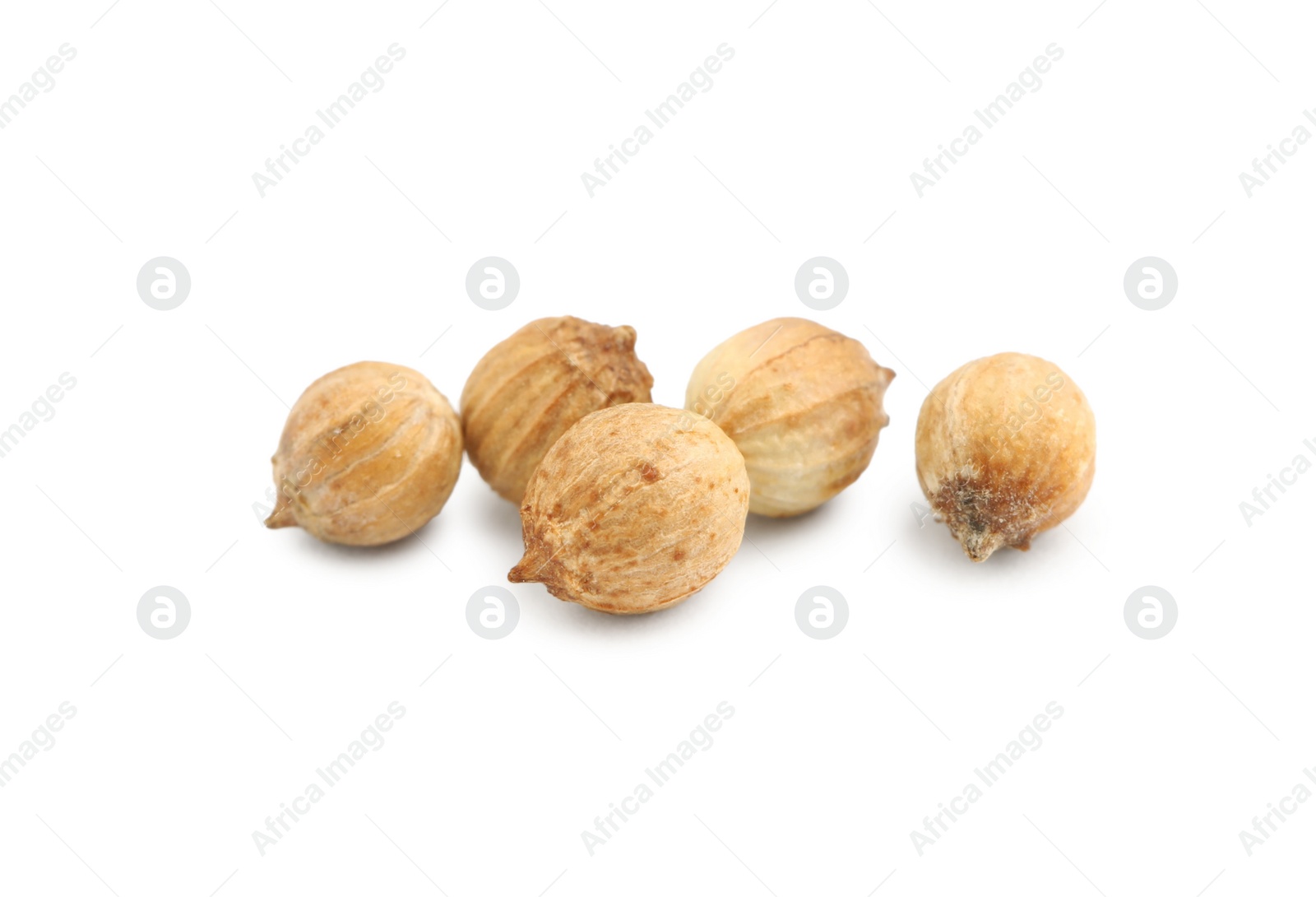 Photo of Scattered dried coriander seeds on white background, closeup