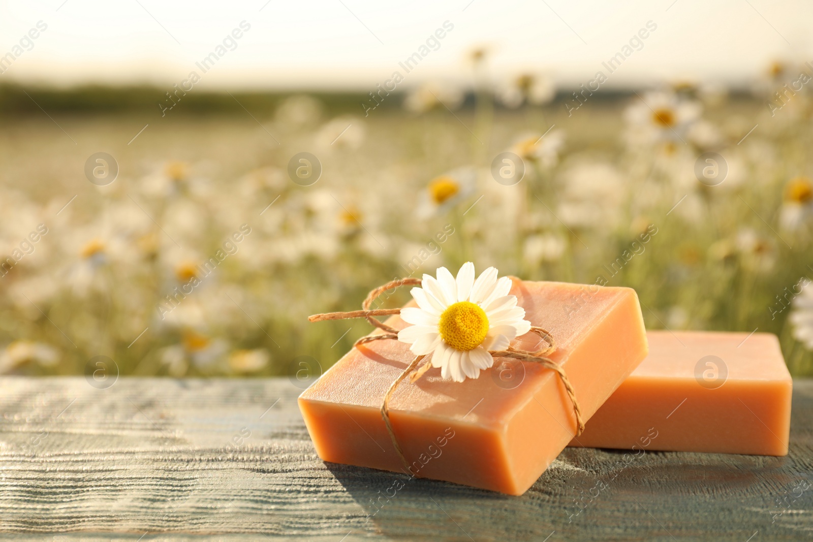 Photo of Chamomile soap bars on blue wooden table in field