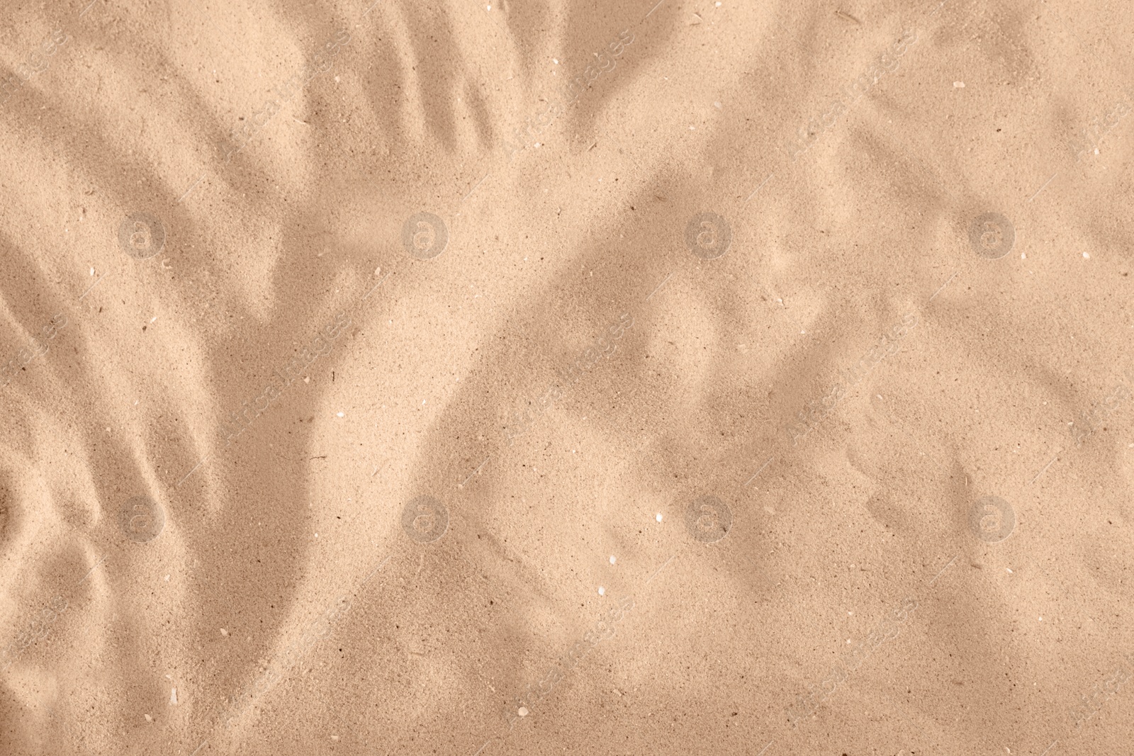 Photo of Golden beach sand on sunny day as background