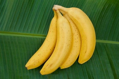 Photo of Delicious bananas on green leaf, top view